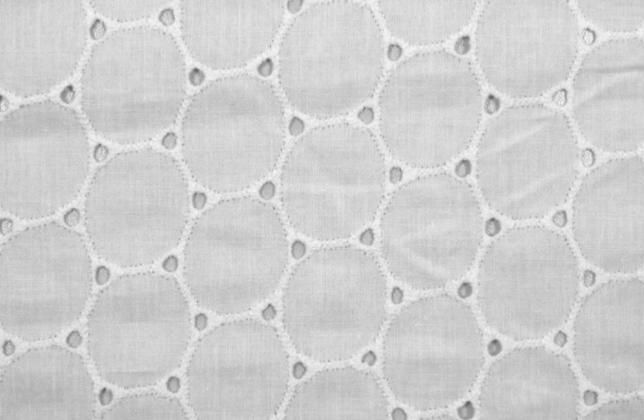 schiffli-guipure-lace-allover-embroidery-fabrics-manufacturers-and-suppliers-in-india